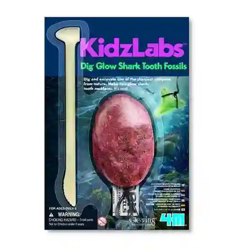 4M Laboratorio de Ciencia Excava Dientes de Tiburón