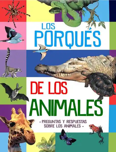 Los Porques de Los Animales - Silver Dolphin