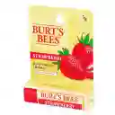 Burt's Bees Protector Labial Strawberry