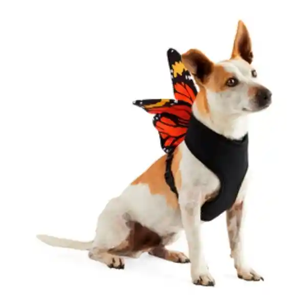 Bootique Arnés Con Disfraz de Mariposa Perro Chico