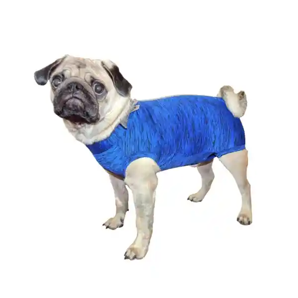 Petmed Body Quirúrgico Perro Azul Talla 2