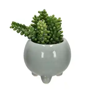 Maceta Redonda Con Cactus Decorativo
