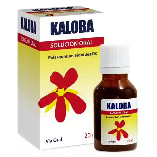 Kaloba Pelargonium Sidoides (0.8mg) Solución Oral