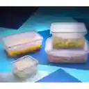 Hermetico Rectangular Biokips R4