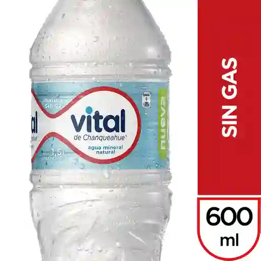 Agua Vital Sin Gas 600Ml