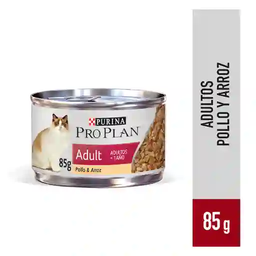Pro Plan Alimento Húmedo Kitten Pollo e Higado 85 g