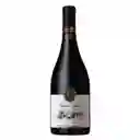 Casa Silva Vino Blanco Syrah