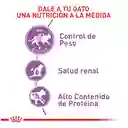 Royal Canin Alimento Para Gato Adult Sterilized