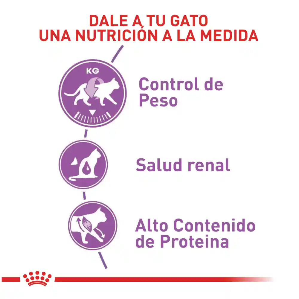 Royal Canin Alimento Para Gato Adult Sterilized