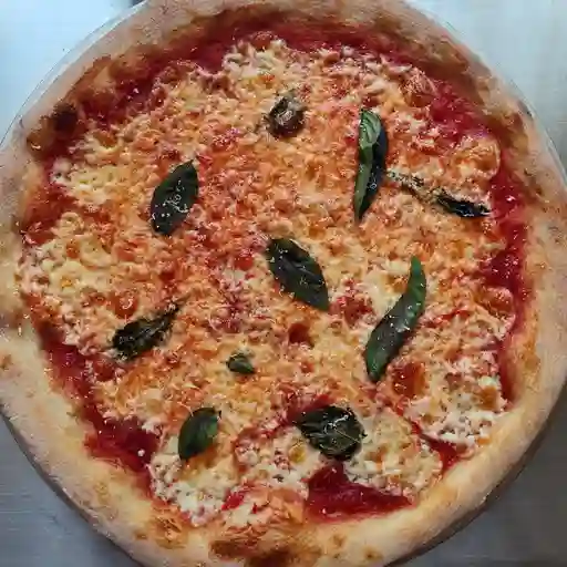 Margherita mediana 32cm.