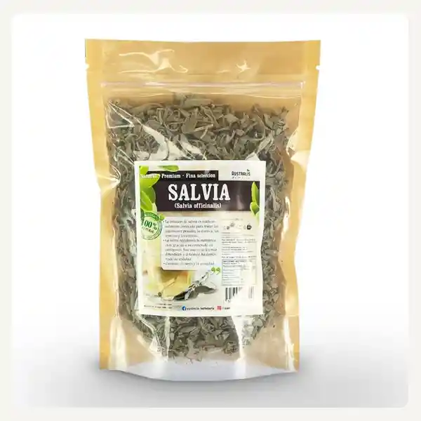 Salvia