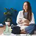 Gorro Para Mascota Pequeño Con Forma de Dinosaurio Miniso