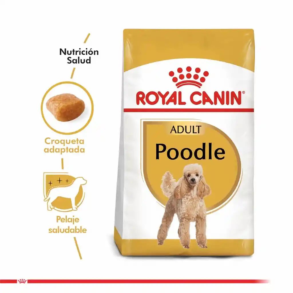 Royal Canin Alimento Para Perro Seco Adulto Poodle Adult