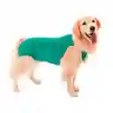 Petmed Body Quirúrgico Perro Verde Talla 9