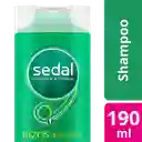 Sedal Shampoo Rizos Definidos