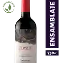 Coyam Vino Tinto Emiliana Orgánico 14