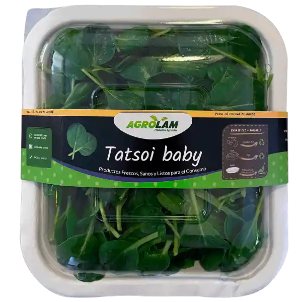 Agrolam Tatsoi Baby