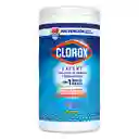 Clorox Toallita Desinfectante Expert