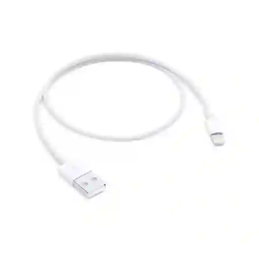 Apple Cable Lightning To Usb 1mt.