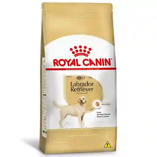 Royal Canin Alimento para Perro Labrador Retriever
