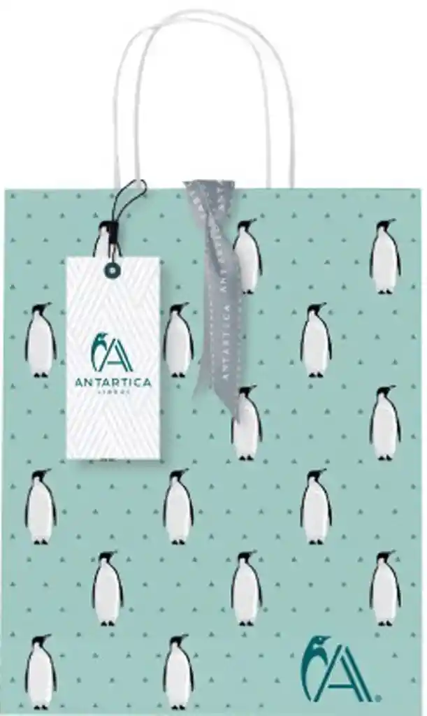 Bolsa Papel Mediana 41 x 30 Menta