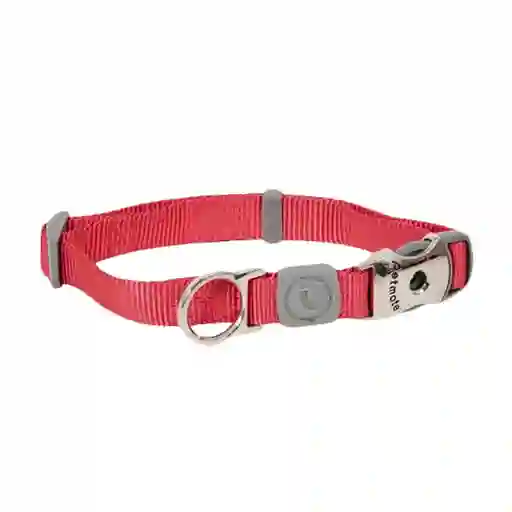 Petmate Collar de Lujo M