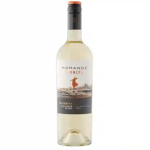 Morandé Vino Blanco Pionero Reserva Sauvignon Blanc