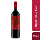 Casillero Del Diablo Vino Tinto Dark Red Blend