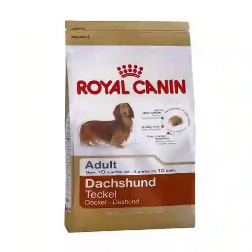 Royal Canin Alimento Para Perro Alto Dachshund
