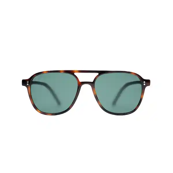 Lentes de Sol George Tortoise Inztinto