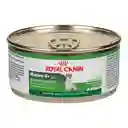 Royal Canin Alimento Para Perro Húmedo Adulto Adult 8+