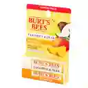 Burt's Bees Bálsamo Labial Coco & Pera y Mango