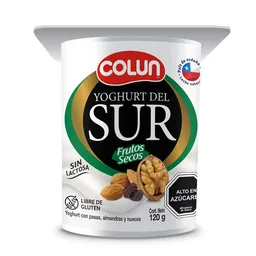 Colun Yoghurt Del Sur Frutos Secos