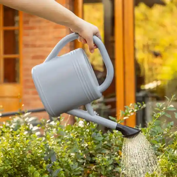 Regadera de Plástico 3 L Casaideas