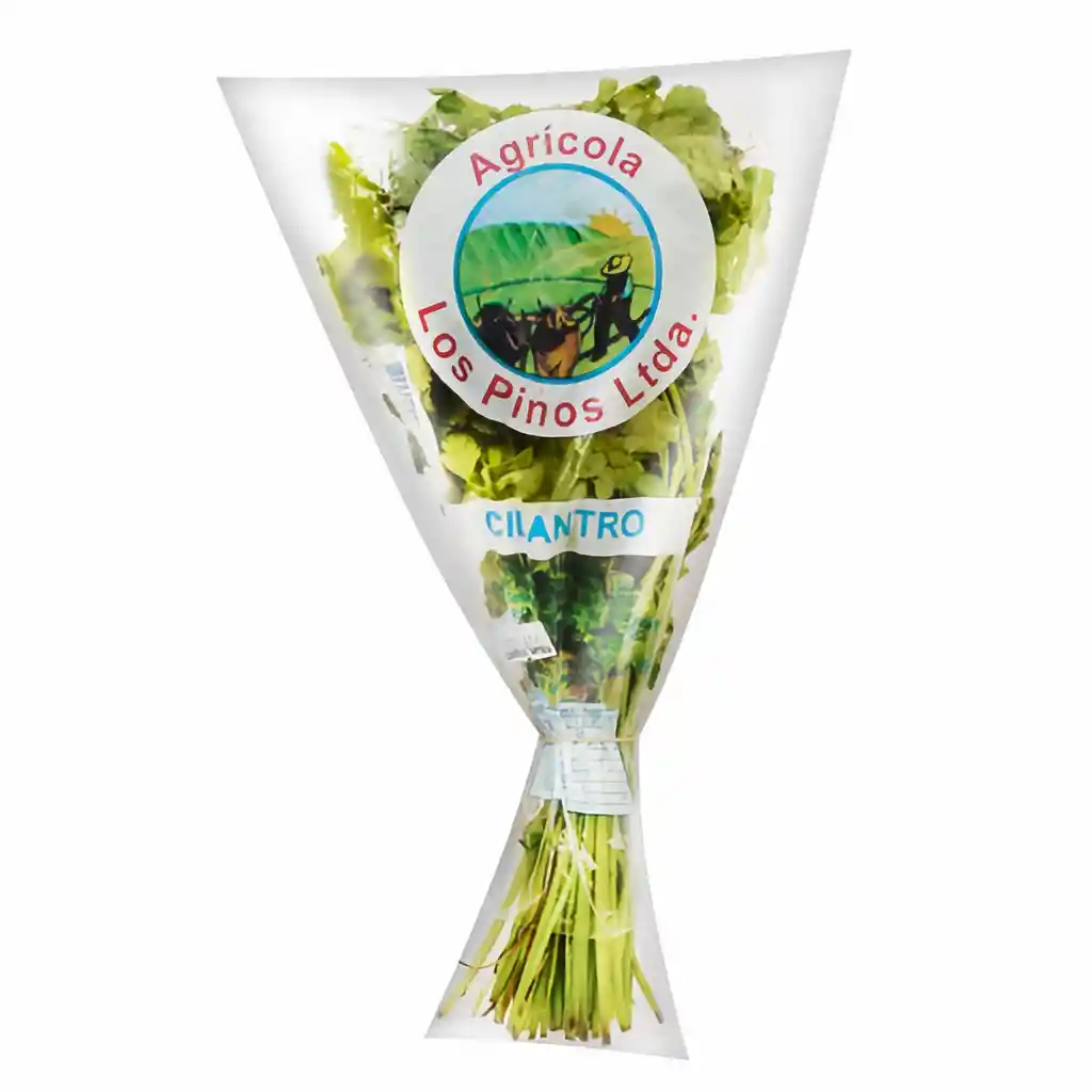 Agrícola Los Pinos Ltda Cilantro