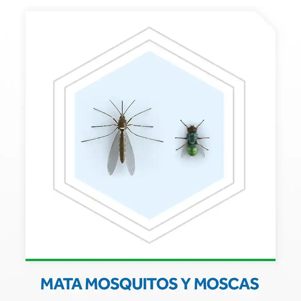 Insecticida Raid Mata Moscas y Mosquitos 360 ml