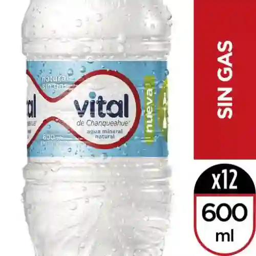 Agua Mineral Sin Gas 500 ml