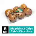 Pulmahue Magdalena Chips de Chocolate