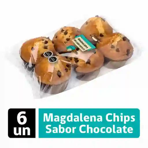 Pulmahue Magdalena Chips de Chocolate