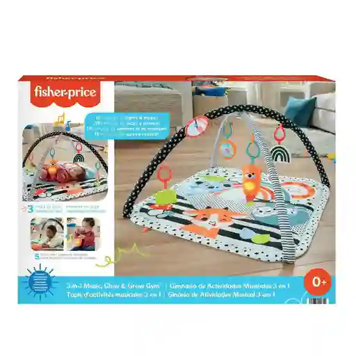   Fisher Price  Gimnasio De Actividades Newborn Musical 3 En 1 