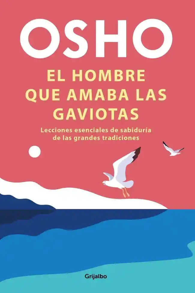 El Hombre Que Miraba Las Gaviotas