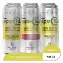 Topo Chico Six Pack Mixto 355 Ml