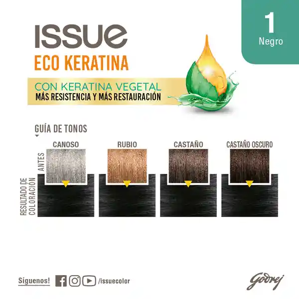 Issue Tintura Capilar Eco Keratina Negro N°1