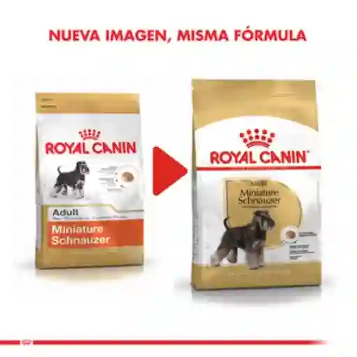 Royal Canin Alimento Seco Para Perro Adulto Schnauzer Miniatura