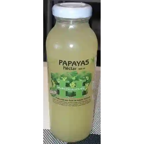 Nectar de Papayas Huentelauquen