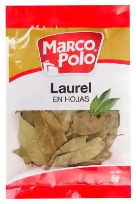 Marco Polo Laurel en Hojas