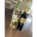 Vino Reserva Apalta O Montes 750 ml