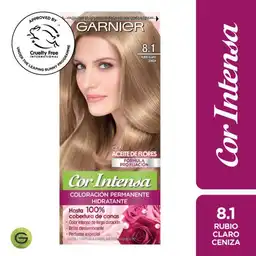 Garnier Tinte Capilar 8.1 Rubio Claro Ceniza