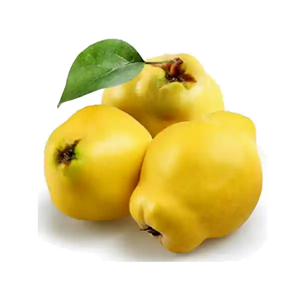 Membrillo