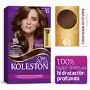 Koleston Kit de Tintura con Tratamiento Tono61 Rubio Cenizo Oscuro